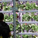 박주성농장 이미지