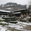 라이브풍경민박 이미지