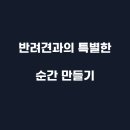 강아지 테마파크 이미지
