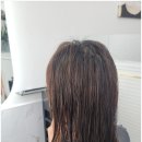 리하이헤어 이미지
