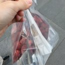 과일담다 티스토리
