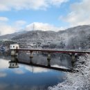 여울목장 | 서울에서 1시간, 입장료 무료! 156만 명이 다녀간 파주 마장호수 출렁다리