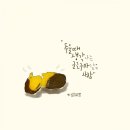 캘리그라피 활용 이미지