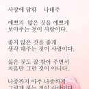 🌸🌱5기모임 결산 &amp;후기 이미지