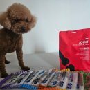 마루덴탈 이미지