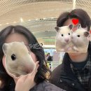 씨유 수원로얄팰리스점 | [괌여행] 4박6일 괌 : 1일차 💖리티디안 / 도스버거 / 리가로얄 라구나