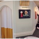 대구강아지분양 마마스미독 본점 이미지