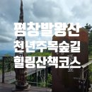 숲길 | 평창 발왕산 천년주목숲길 후기 여름에도 시원한 발왕산 정상 힐링 산책코스