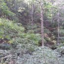 이월보건지소 이미지