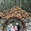 안덕어린이집 옆 | 산양큰엉곶, 제주도 서쪽 숲길 곶자왈 포도존많은숲길 아이들과 가기 좋은 제주도숲