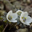 쉼터(만남) 이미지