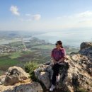 보아스 팜 스테이 이미지