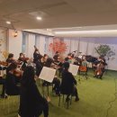 김준행 | [경남프라임필하모닉오케스트라]하모배의 교향곡 대전쟁