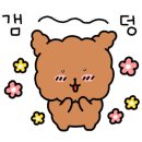 코너스톤디 이미지