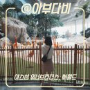 씨월드 | 아부다비 워너브라더스 씨월드 다있는 야스섬 후기, 비용, 재방문의사