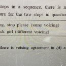 Different voicing germination 이미지