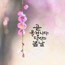 개판오분전 | '개판오분전' 의미