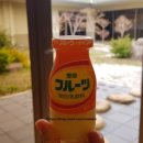 선상활어회 이미지