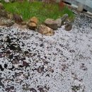 하늘꽃민박 이미지