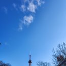 오오도리