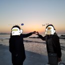 바바벨리 네이버블로그