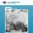 성심동물의료센터 이미지