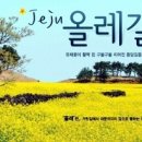 강산여행사 이미지