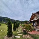 솔봄농장 이미지