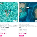 해리아쿠아 | 미야코지마.7✈️ 야비지투어 내돈내산 후기 (feat.해리스 쉬림프 트럭)