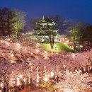 체리블라썸 이미지