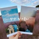 당호리체육공원위 | 합천 핑크뮬리 신소양 체육공원 개화 축제 즉석사진을 곁들임!