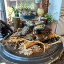 자연애오리 | [강화도 마니산 맛집] 강화보양식 오리백숙 찐 맛집 “자연애” 후기 (강화도 닭백숙, 강화도 단체 모임...