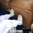 자동차 킥매트 디올뉴 팰리세이드 IOM 시트백커버 장착 후기