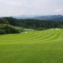 웰리힐리 컨트리클럽 이미지