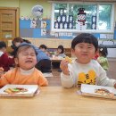 에코파랑새어린이집 이미지