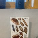 뺑드에코