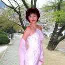 김용임 카카오 검색결과