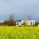 카페또오늘 이미지