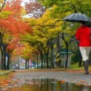 동신안경 이미지