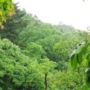 은고개로 이미지