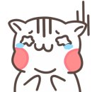 지윤헤어모드