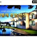 펜션114 네이버블로그