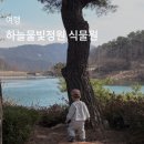 하늘물빛정원 | 대전 근교 하늘물빛정원 식물원 리뉴얼 오픈