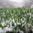 진악산농장 이미지