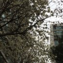 ㈜삼표산업양주사업소 | 고용노동부, ㈜삼표산업 특별감독 실시
