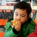 신영통동물병원 이미지