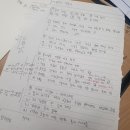 김녕중학교 | [대학생 통계교육 재능기부단] 제주도 활동 후기 🐴