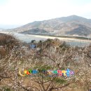 섬진농원 이미지