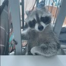 구라우천 이미지