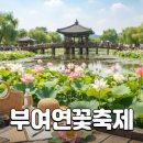 두루애궁남지점 | 부여 궁남지 연꽃축제 여행 시 고려할 교통 및 관람 팁